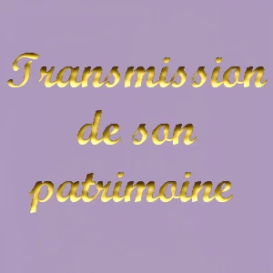 transmission-patri